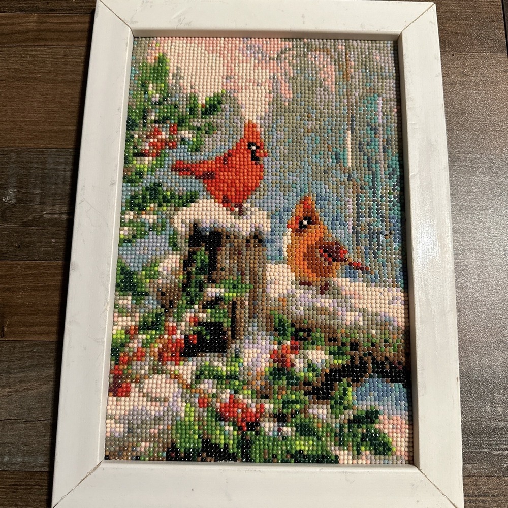 Completed Diamond dotz painting Winter Birds Cardinal snow 10X14 dots Framed